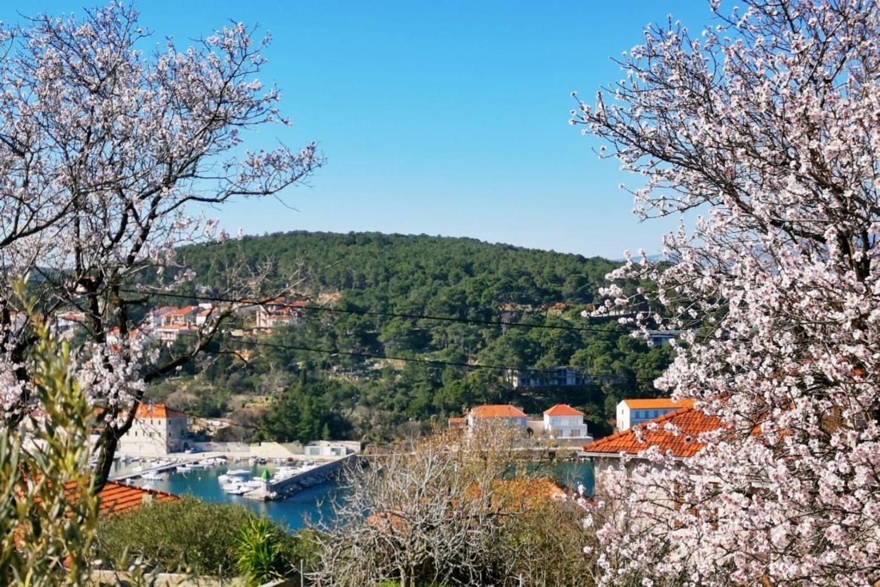 Jelsa View Apartments Zewnętrze zdjęcie